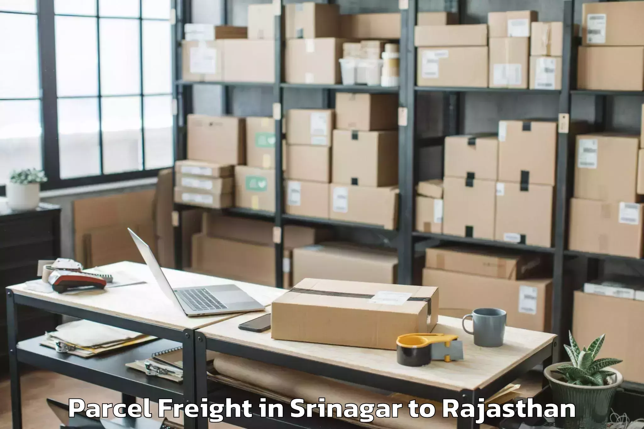 Comprehensive Srinagar to Pratapgarh Rajasthan Parcel Freight